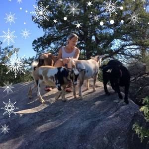 Meet your Posher, Christi